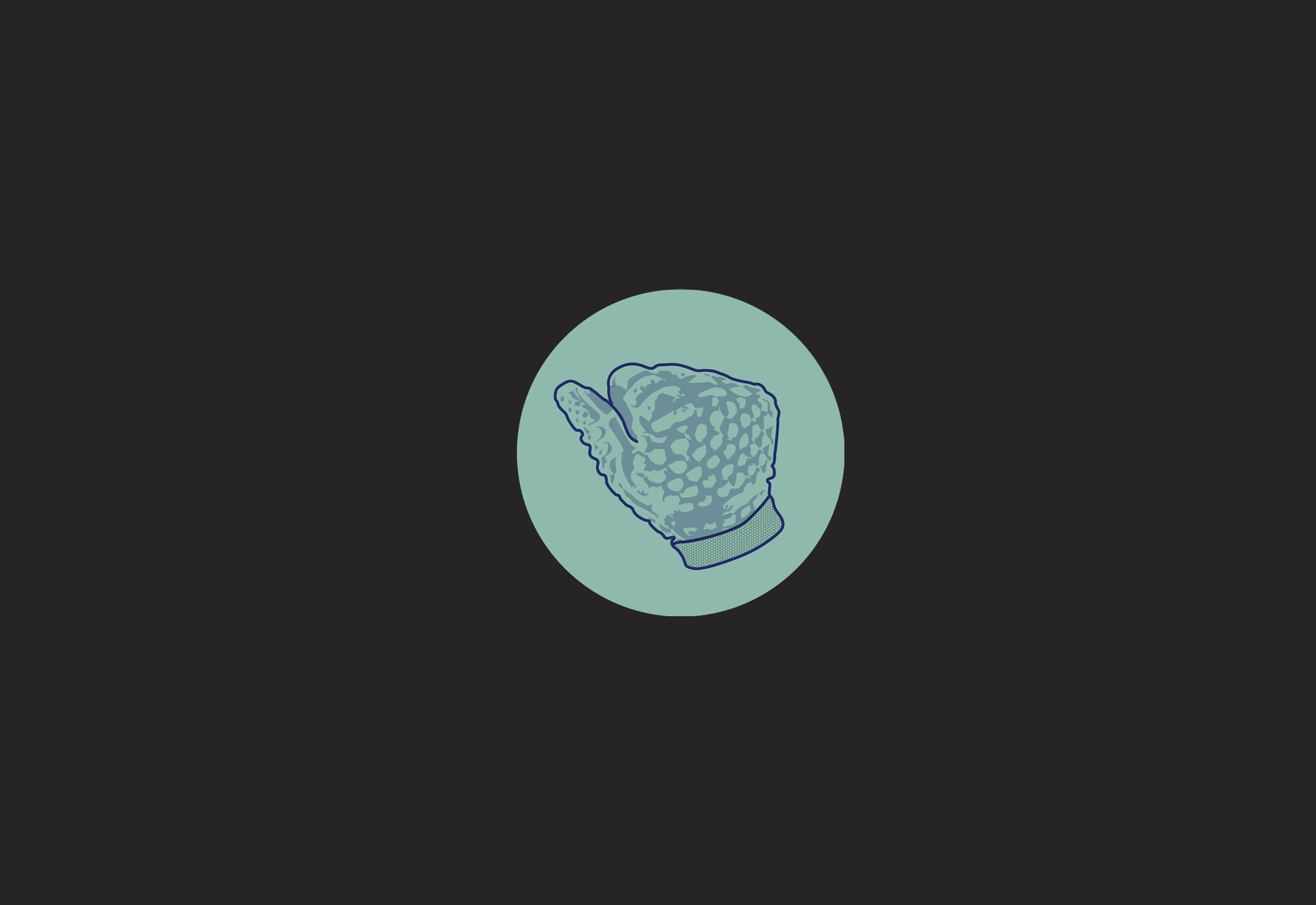 icon1