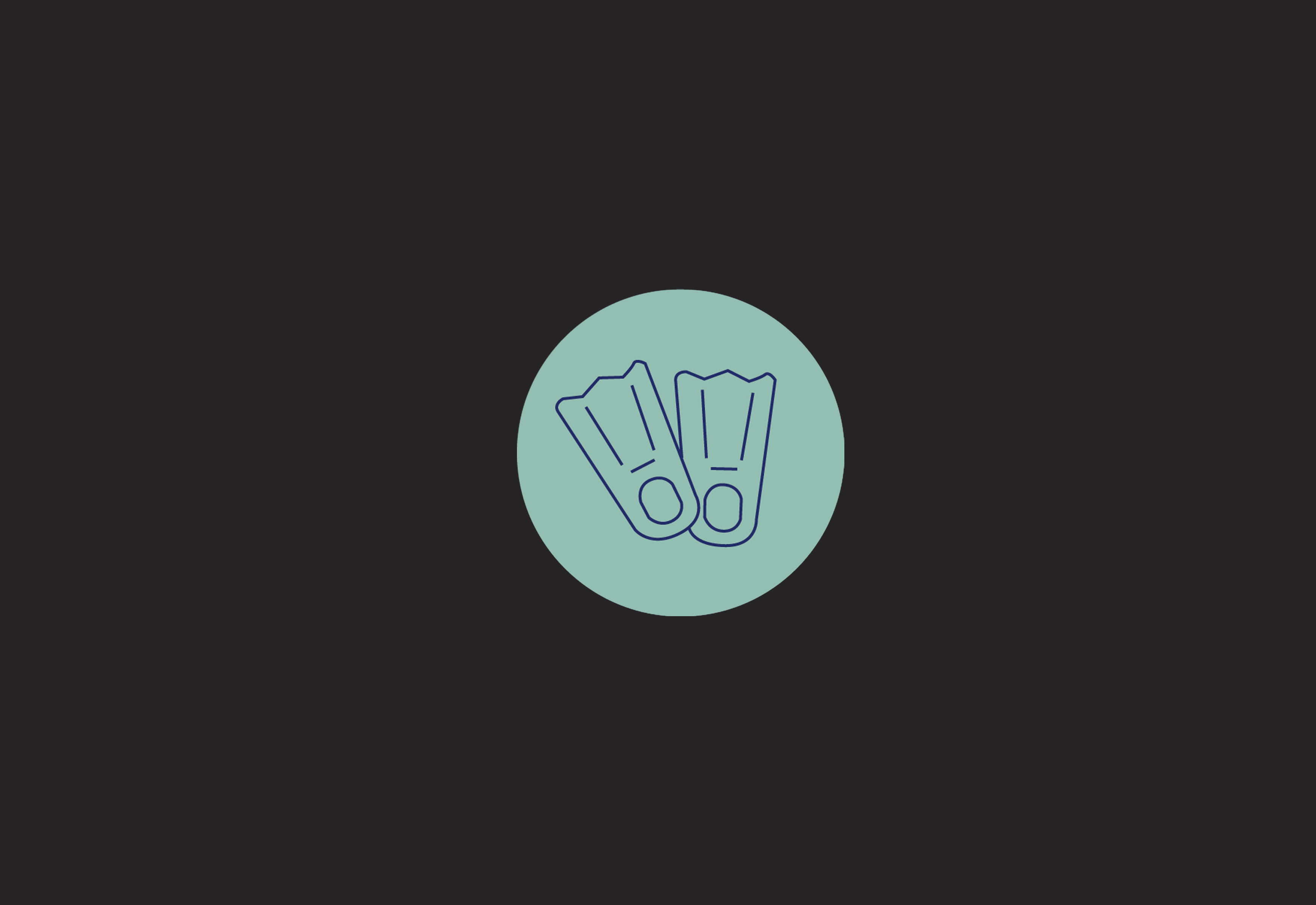 icon2