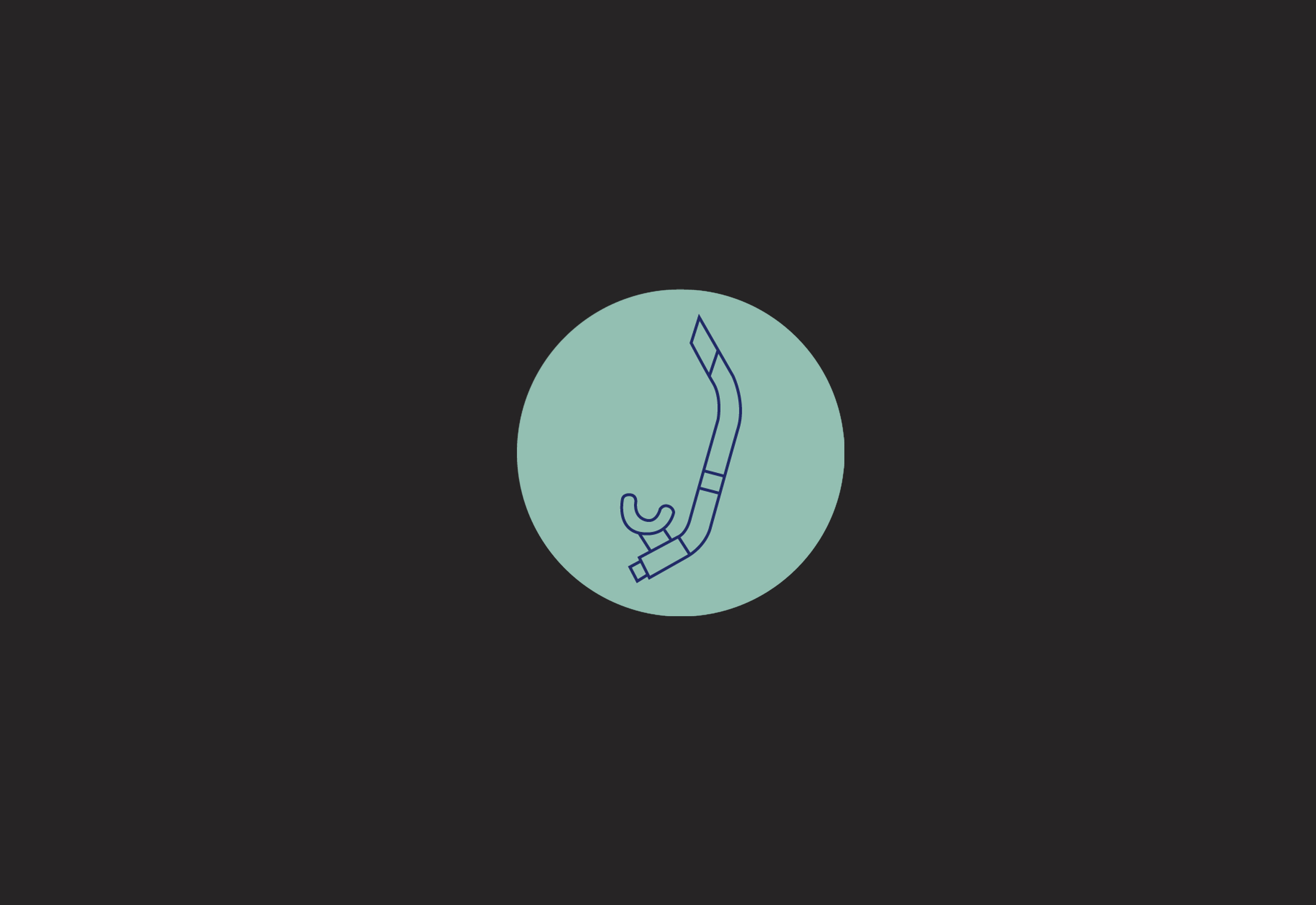 icon3
